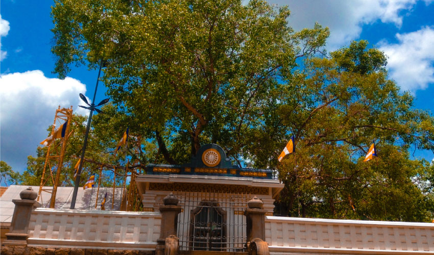 Anuradhapura